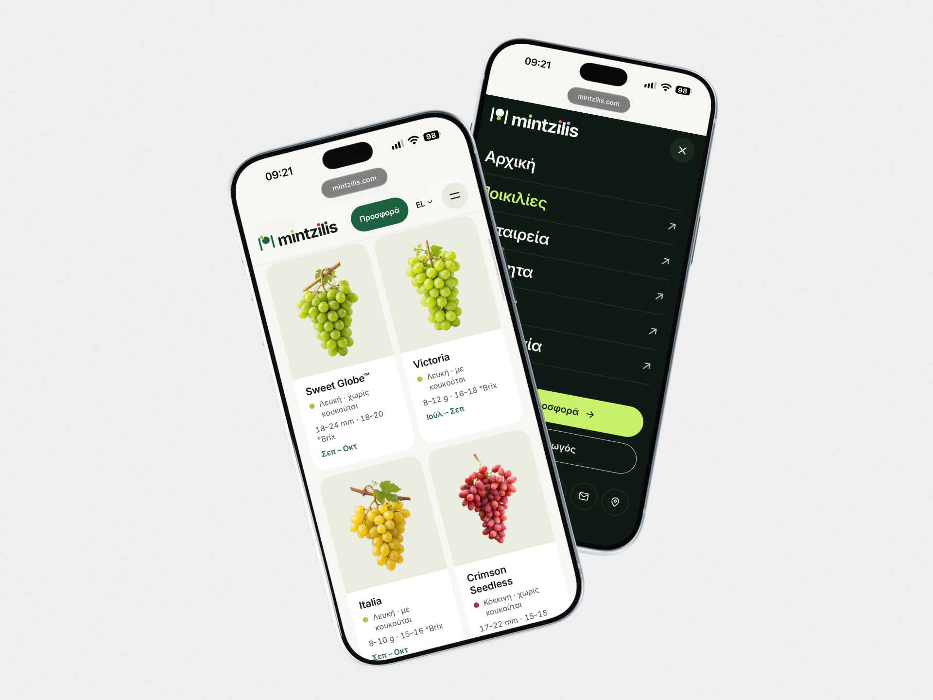 Mintzilis Fruit Export Company